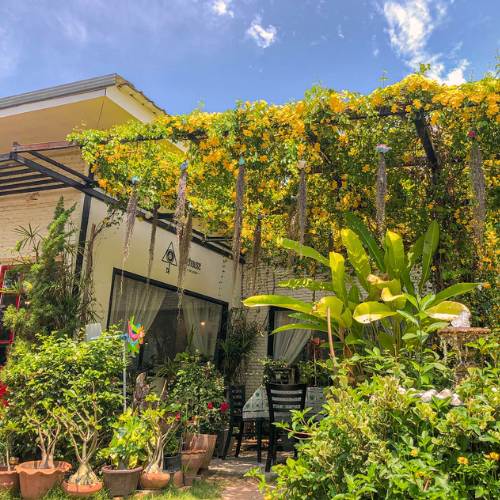 Best cafe in Mahasarakham